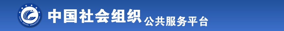 认你操做爱视频全国社会组织信息查询